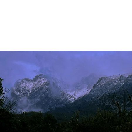 Casa Rural Basiver - Habitacion Brana De Los Tejos Armano Dış mekan fotoğraf